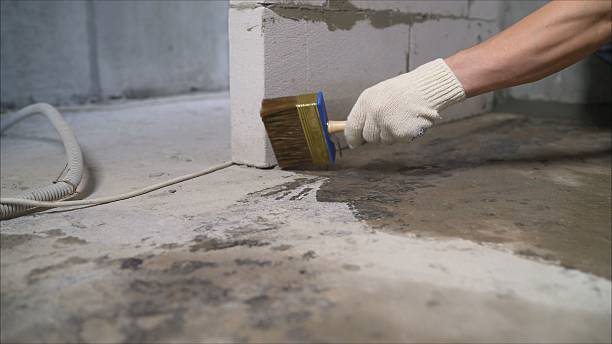 SJ Waterproofing Pros Crawl Space Encapsulation coverage map for Custer, MI and surrounding area